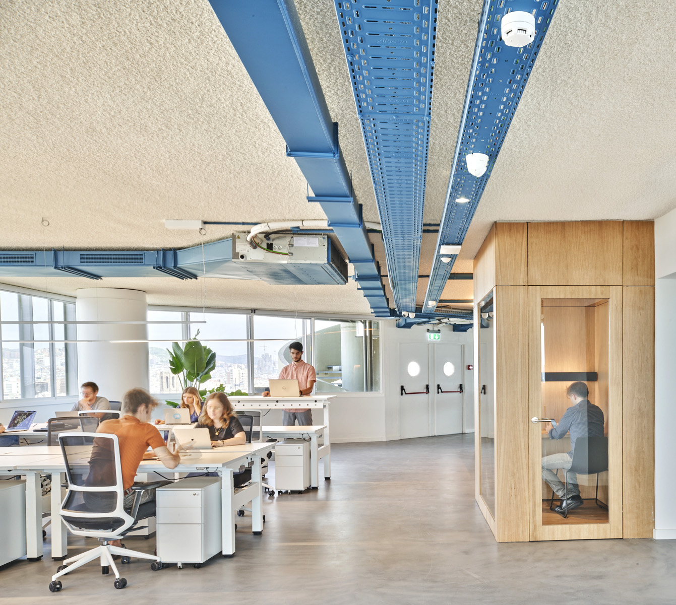 Flex torre colón - drassanes 6 4